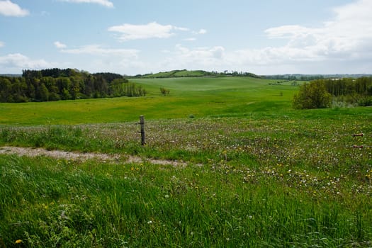 Green summer landscape of open hills and fields scenic view image                               