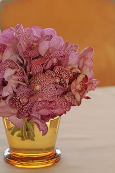 Bouquet of orchid flowers in glass vase