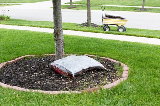 Mulching around the trunk of a tree in a neat circular flowerbed with a pocket of commercial organic mulch from a nursery at the start of spring in a yard work concept