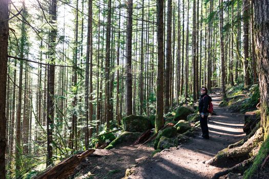 Lady trekking at Snoqualmie washington rattlesnake ledge trail by herself under the woods