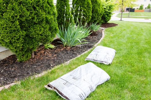 Mulching flowerbeds around the house with bags of organic mulch from a nursery lying on a green lawn alongside a bed containing shrubs and evergreen Thuja trees in a yard work concept