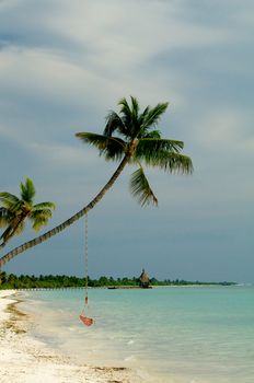 Palm Trees with Hammock in Indian Ocean Sand Beach on Cloudy Sky Background Outdoors