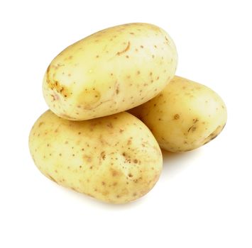 Three Big Raw Yellow Fingerling Potatoes isolated on white background