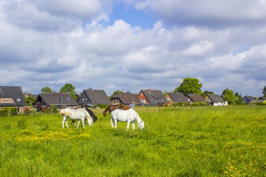 German countryside landscape, Lower Rhine Region