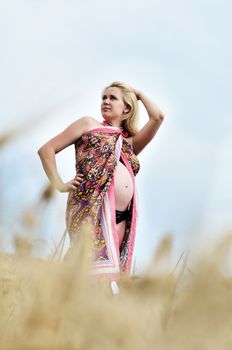 blonde pregnant woman standing in the wheat field 