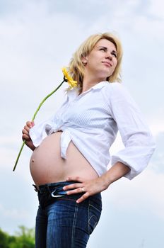 beauty pregnant woman standing outdoors with gerbera