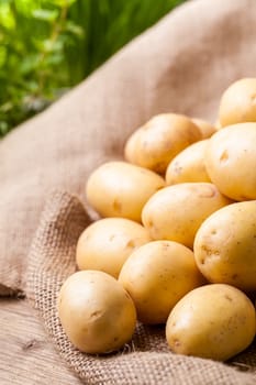 Farm fresh baby potatoes displayed on a hessian sack on a rustic wooden table at farmers market, a healthy nutritious root vegetable popular in vegetarian and vegan cuisine