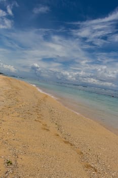 Beautiful tropical beach with lush vegetation fringing golden sand and a tranquil ocean with gentle surf breaking on the beach