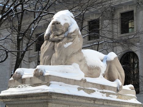 New York City Public Library snow covered stone lion in winter.