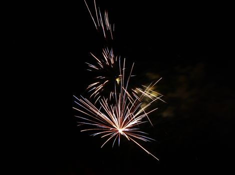 Celebration firework in the black night sky