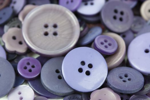 Close up of various purple button scattered on a white surface.