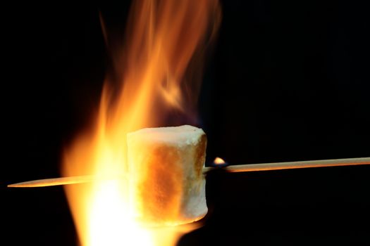 Marshmallow on a wood stick in fire.