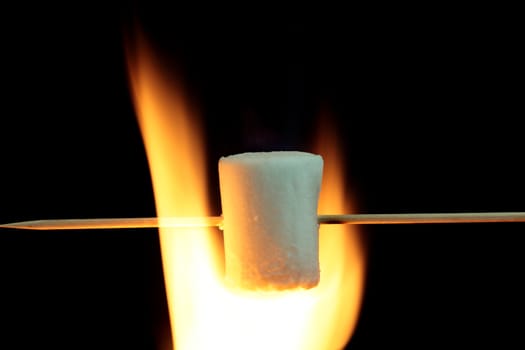 Marshmallow on a wood stick in fire.