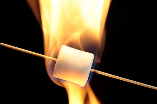 Marshmallow on a wood stick in fire.