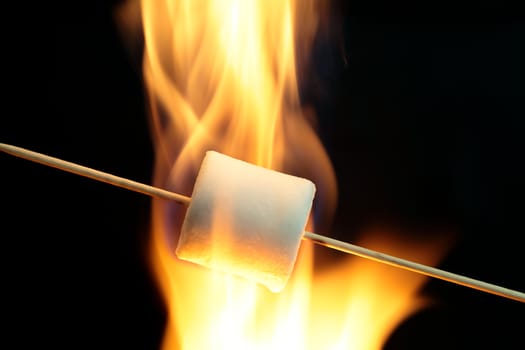 Marshmallow on a wood stick in fire.