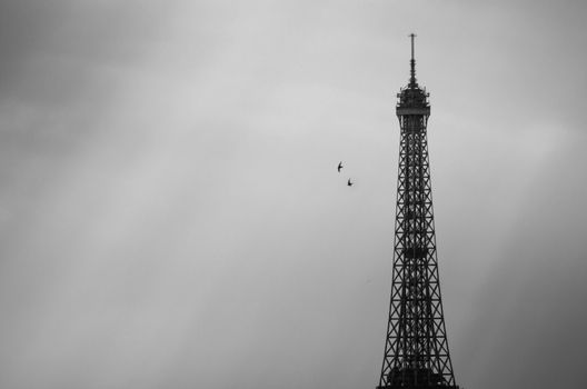 Eiffel tower in Paris with sunset