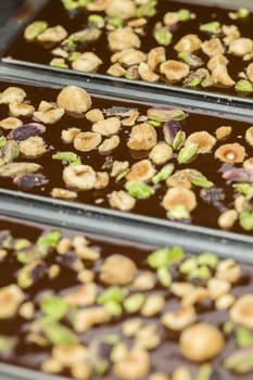 Dried fruits for chocolate bar preparation