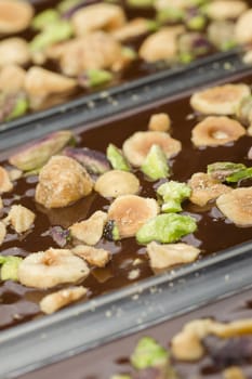 Dried fruits for chocolate bar preparation