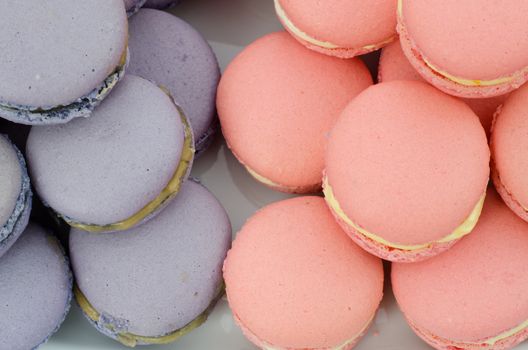 Blue and pink macarons on the white plate