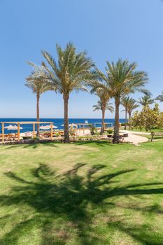 The beach at the luxury hotel, Sharm el Sheikh, Egypt