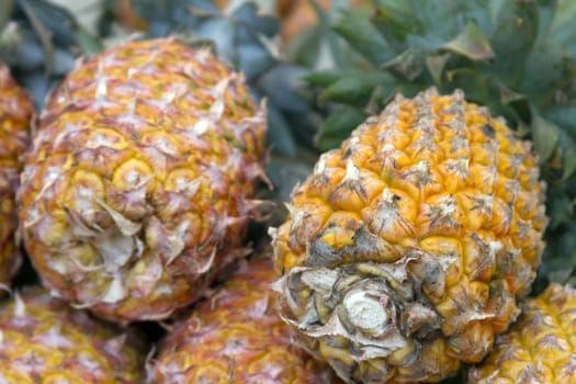 Fresh juicy pineapple on the market in India Goa.