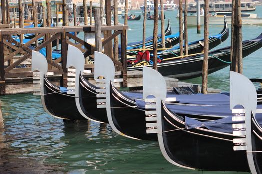 Gondolas Gondolas lined up 
on the Grand Canal in Venice, Italy