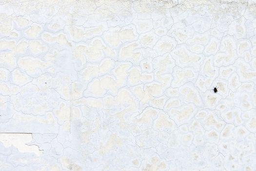 Grunge white background cement old texture wall