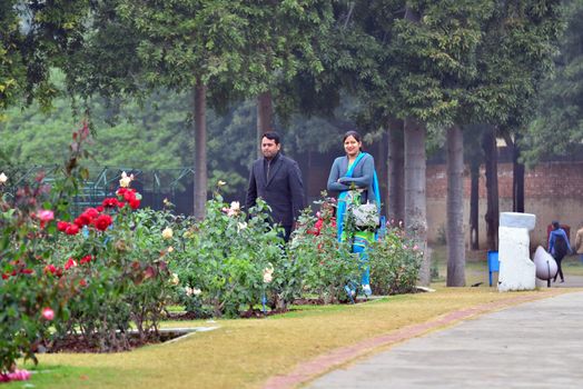 Chandigarh, India - January 4, 2015: Indian people visit Zakir Hussain Rose Garden on January 4, 2015 in Chandigarh, India. Zakir Hussain Rose Garden, is a botanical garden with 50,000 rose-bushes of 1600 different species.