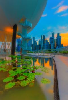 Reflections and lilies at marina bay, Singapore