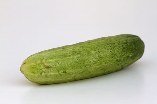 A fresh and tasty green vine ripened garden grown cucumber isolated on white.