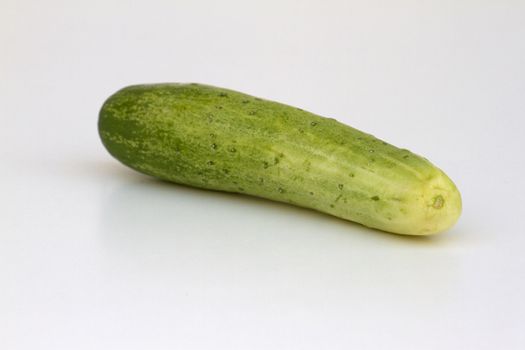 A fresh and tasty green vine ripened garden grown cucumber isolated on white.