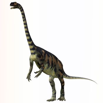 Massospondylus was a herbivorous prosauropod dinosaur that lived during the Jurassic Period of South Africa.
