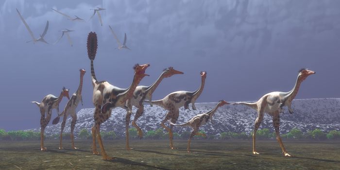 Mononykus was a carnivorous dinosaur that lived in Mongolia in the Cretaceous Period. Here a flock of Pteranodons follow a group of Mononykus waiting for them to catch prey.