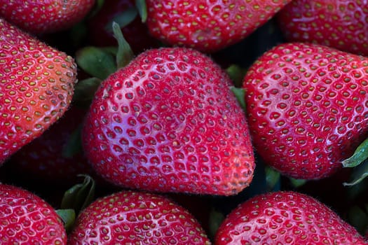 Grouping of strawberries in selective focus