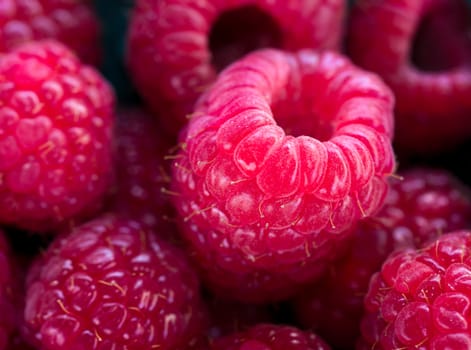 Grouping of raspberries macro with selective focus