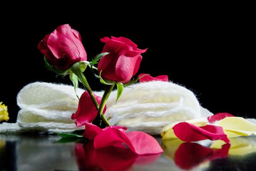 Love poetry concept. two red roses together with red petals on a black background on a scarf