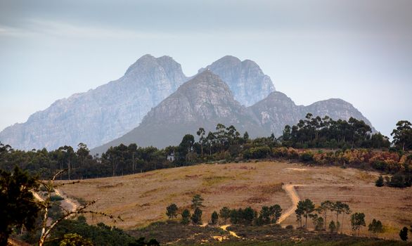 Mountains and vineyard at Swellendam near Cape Town in South Africa