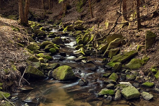 River runs over boulders in the primeval forest - HDR