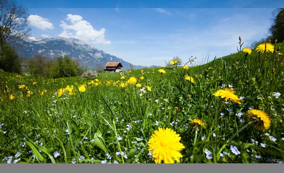 Spring landscape in mountains, Alps