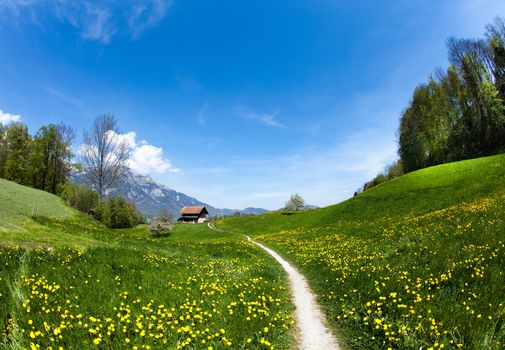 Spring landscape in mountains, Alps