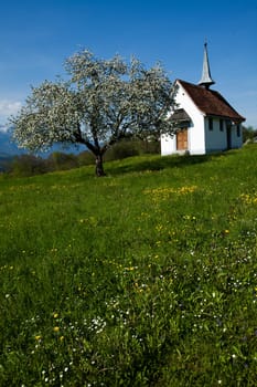 Landscape in mountains, natural colorful tone