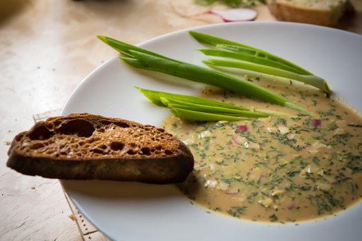 Traditional Russian kvass soup with vegetables - okroshka