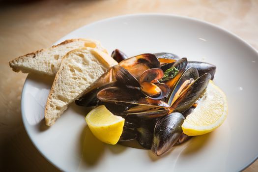 mussels whith sauce of fresh tomatoes in white plate
