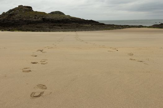 Some foot prints leading to a rock in front of the ocean