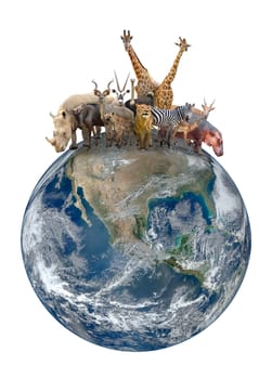 group of africa animal with planet earth, Element of this image are furnished by NASA