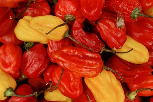 stock of red and yellow peppers