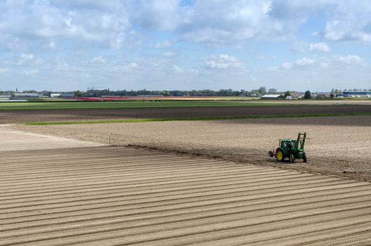 Dutch bulb field after harvest near keukenhof in Lisse, Netherlands