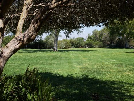 Green grass lawn field in big Mediterranean style design garden