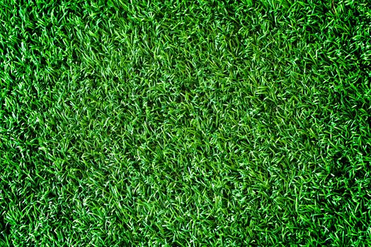 Artificial grass