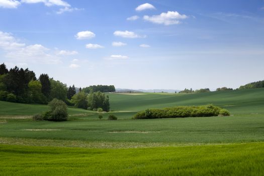 Landscape in the south of Czech Republic